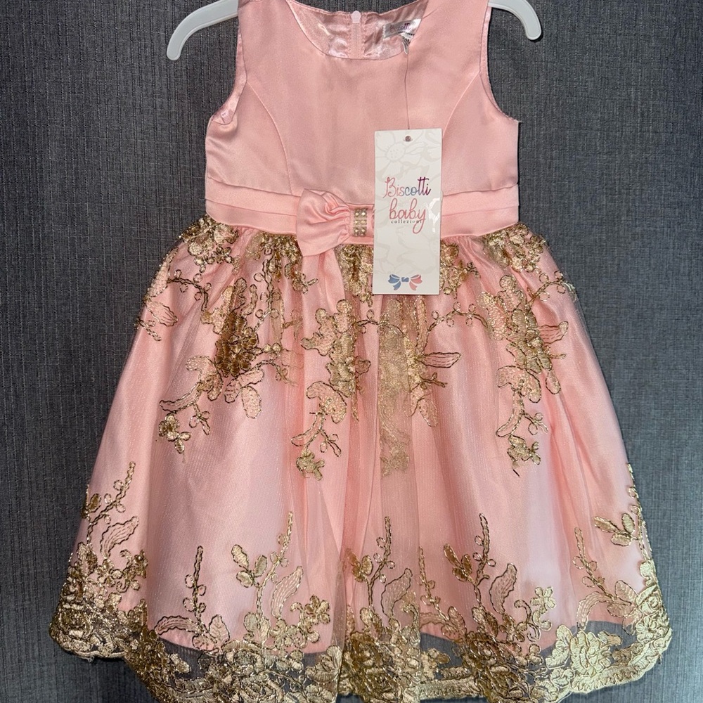 Biscotti Blush and Gold Embroidered Dress